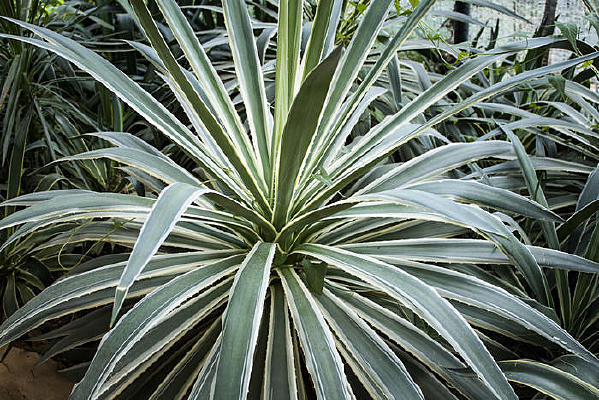 һ����������