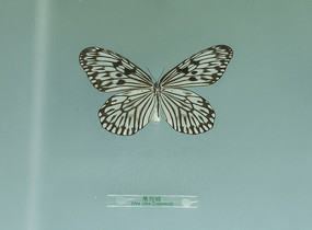 ���ߵ���д