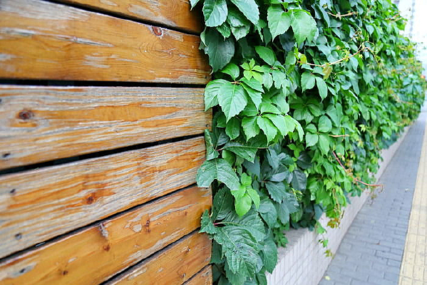 ������ɽ����ľ��ǽ����