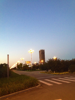 ���� ����