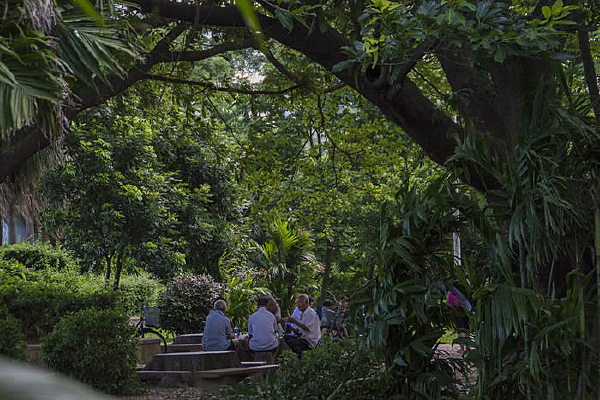 ��԰�����е�����