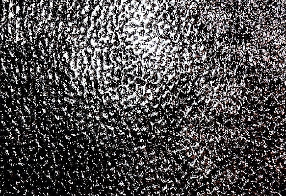 ����Ƥ�ﱳ��