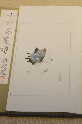 Ŵ滭