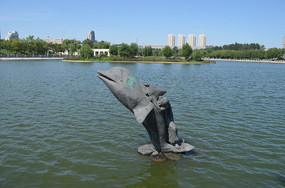 �������ʻ�����