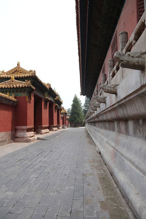 �ʼҽ�������