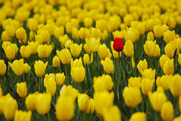 ��ɫ�����㺣��