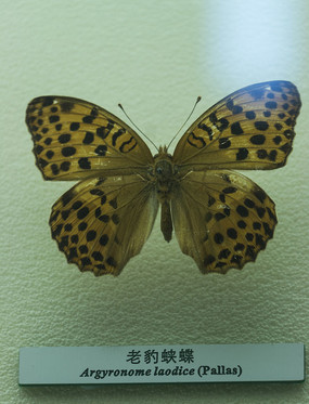 �ϱ�����