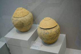 �����չ�