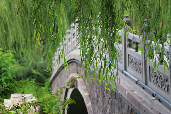 �ű���������