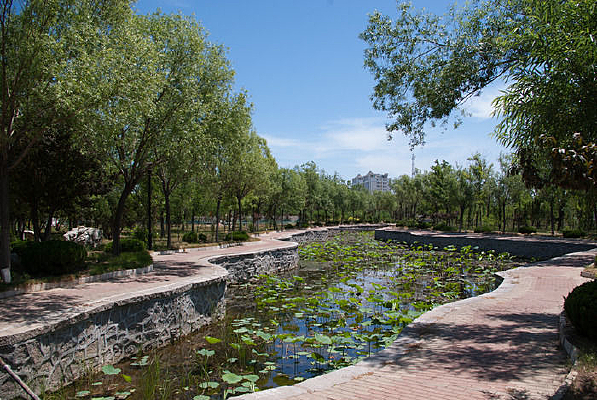 ɭ�ֹ�԰�еĺɻ���