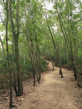 �����е�С·