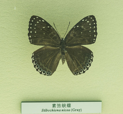 ���κ���