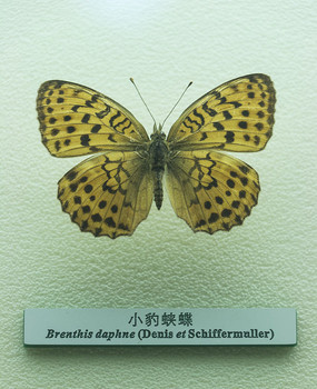 С������