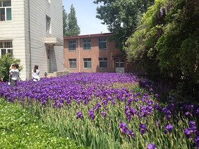 У԰�ڵĻ���