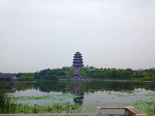 ��ԯ������