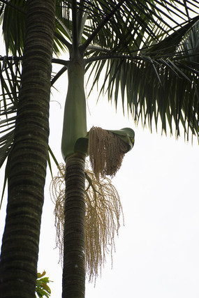 �����µ�����