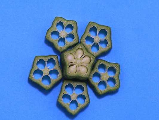 �����ƴ�ڵ�ͼ��