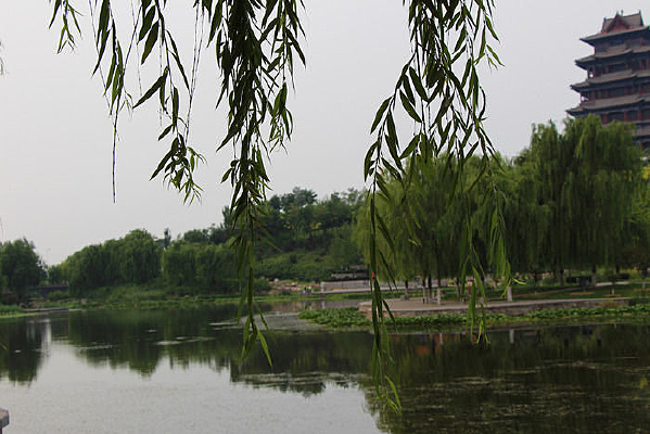 ԰��һ�Ǵ�������