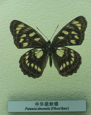 �л������