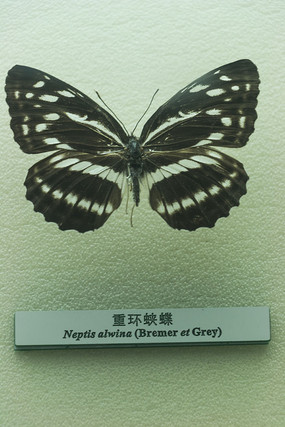 �ػ�����