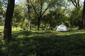 ��ƺ������