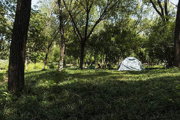 ��ƺ������