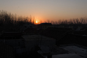 �����µ���԰