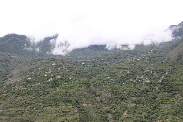  �������°׷����