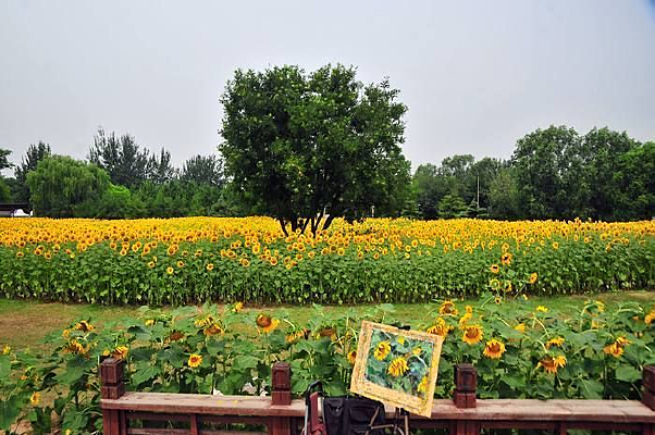 ����ǰ�Ļ���