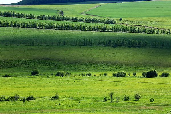 ũ�������