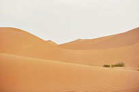 Ư��������