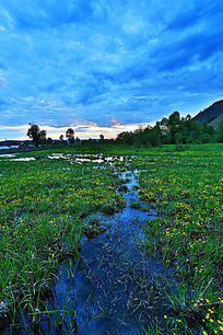 盘点国内六个最美的沼泽湿地