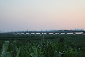 ��Ұ�߼��ź�г��