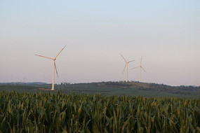 ��Ұũ�� �����糵