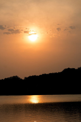 Ϧ������