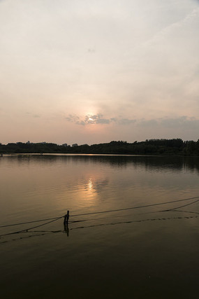 Ϧ�������