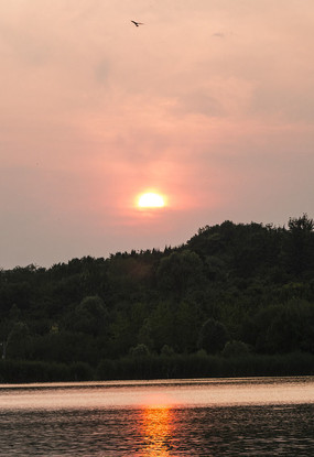 ����ˮ�е�Ӱ