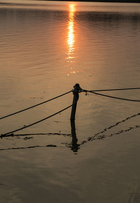 �����µĺ�ˮ