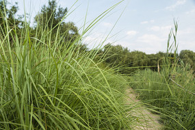 �Ӳ���С��