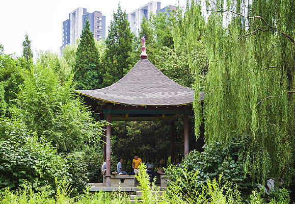 ��ɽ���ֹ�԰��ͤ