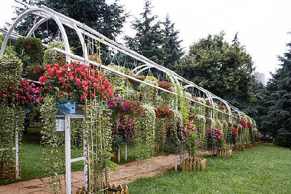 �����Ļ�������