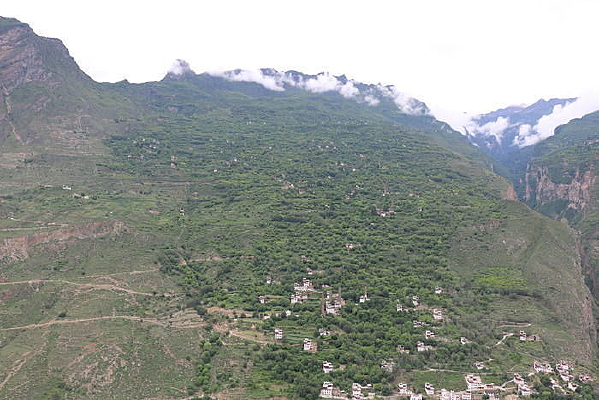 ����ɽ��