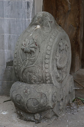 ���Ʊ����Ŷ�