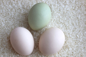 �����ʹ���