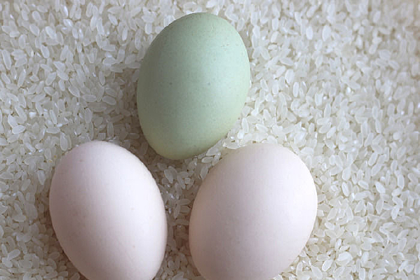 �����ʹ���