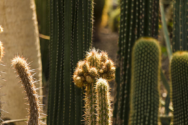 Ģ��״���˰�