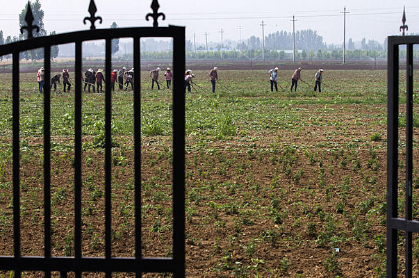 ũ������