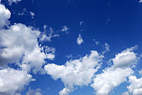 ��հ��ƶ��