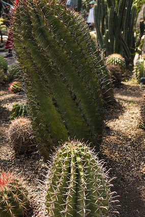 ����������