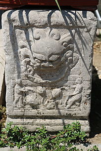 ����ʨ��